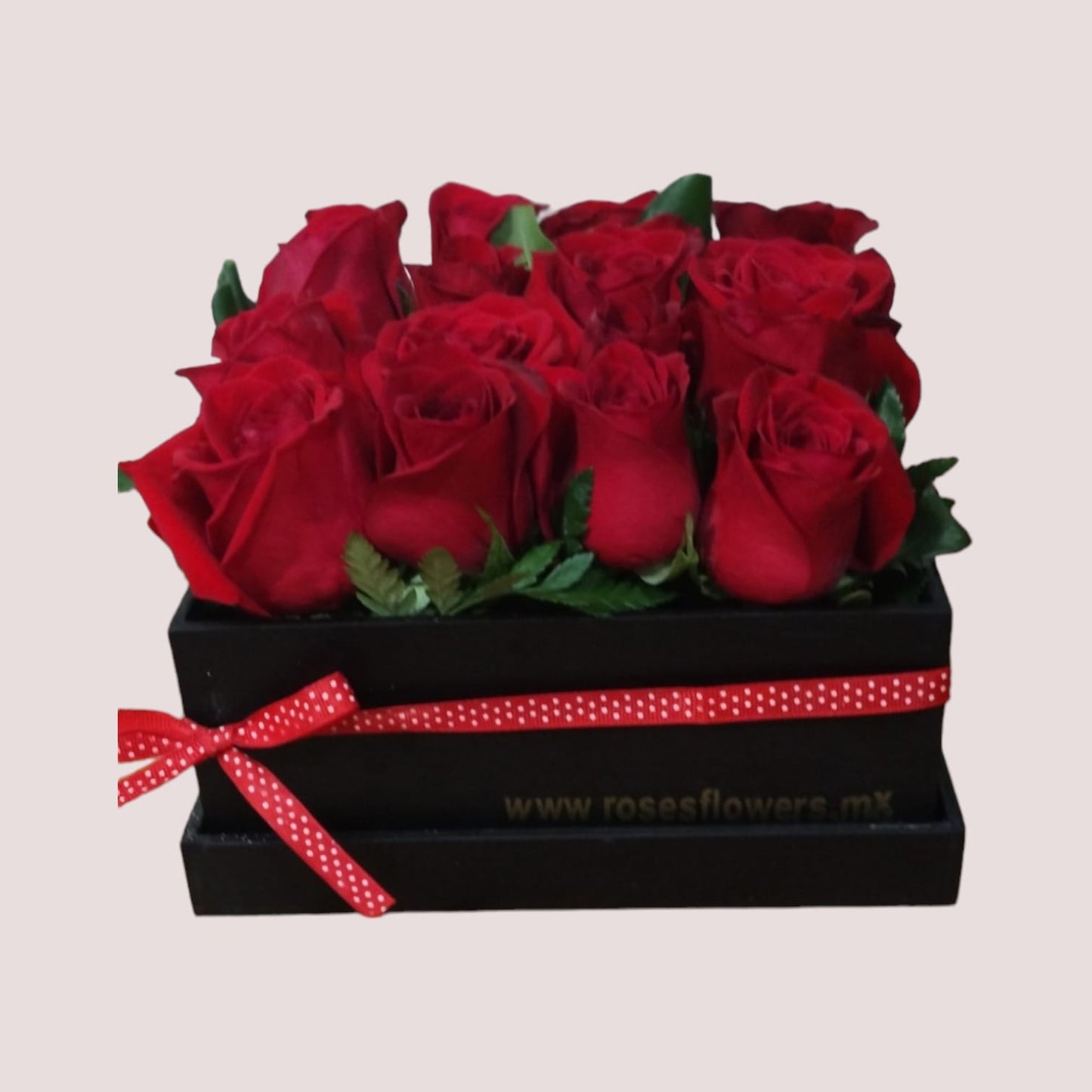 Boxyrosa