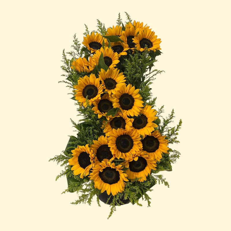 Flor del Sol