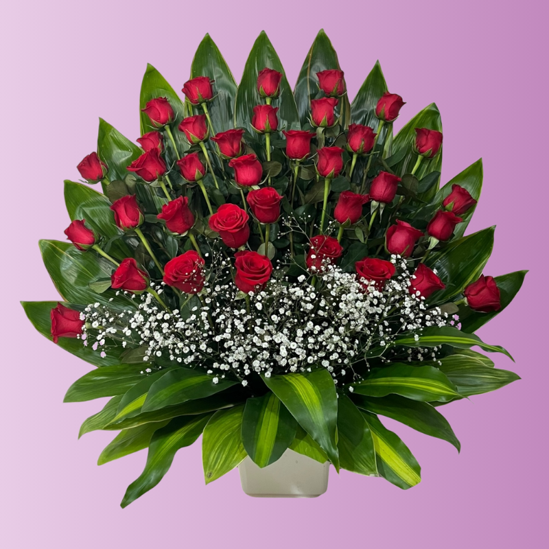 36 Amaneceres