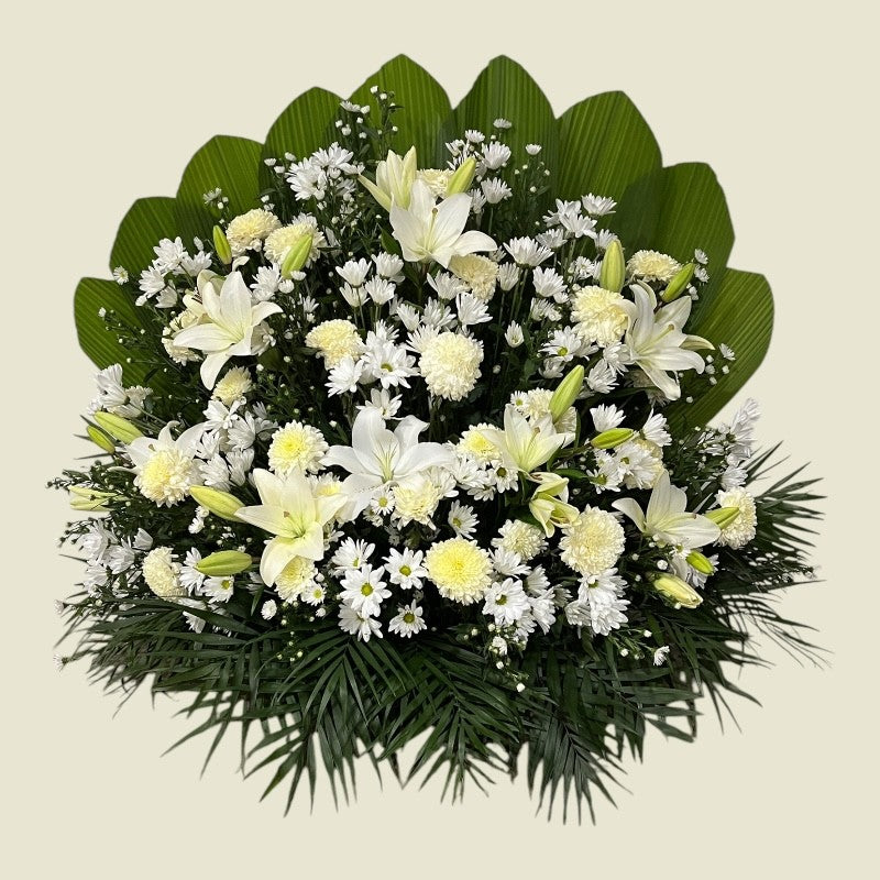 Amor blanco