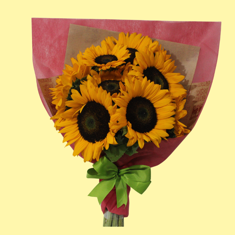 Resplandor de girasoles