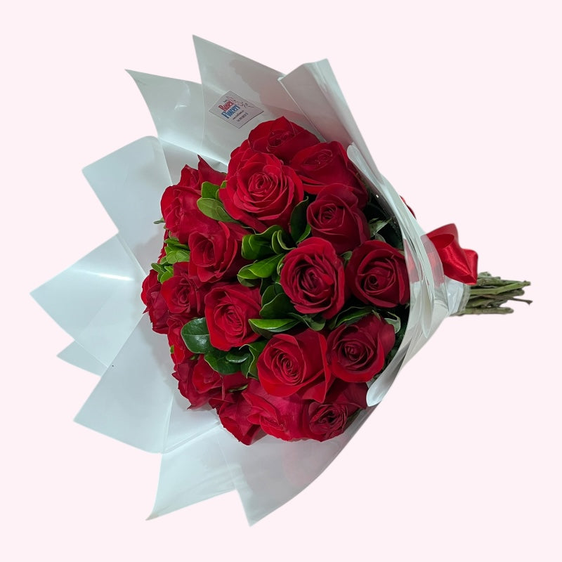 24 amores