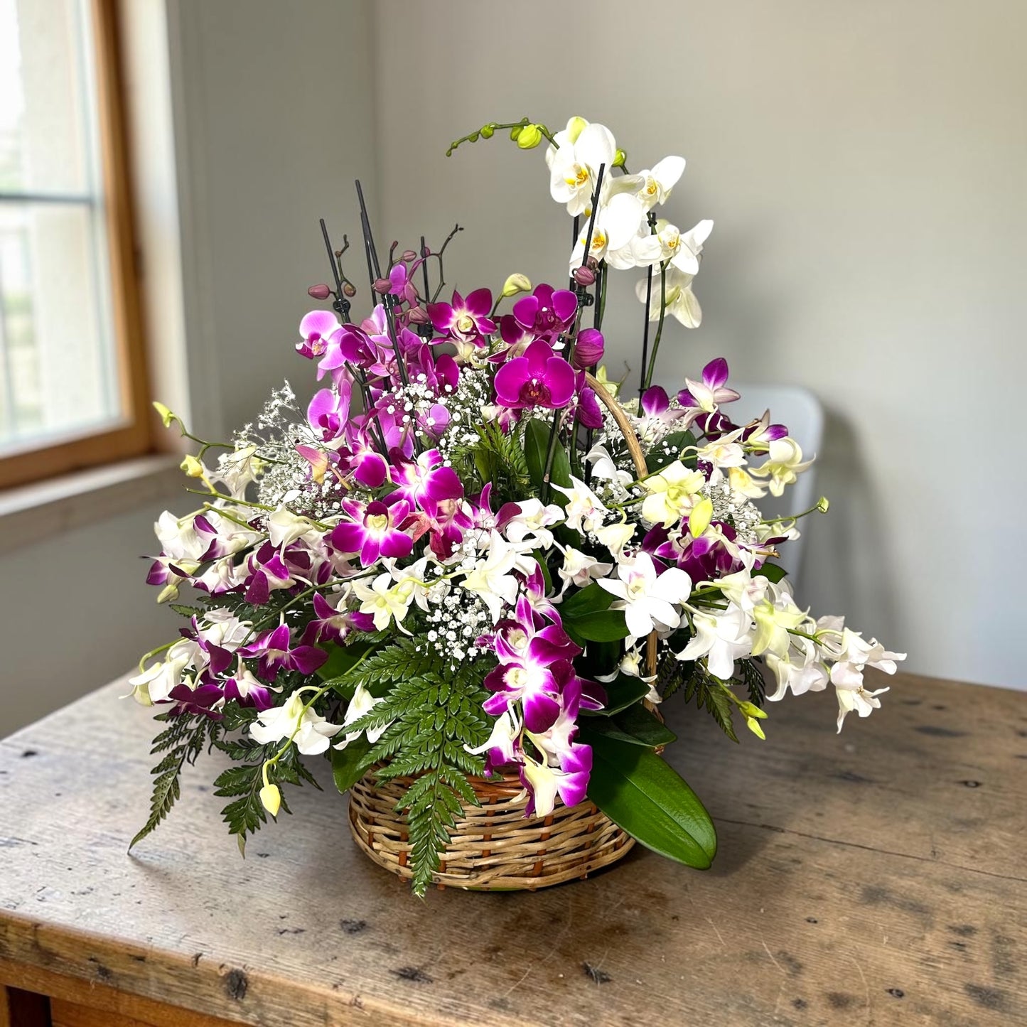 Hermosura de Orquídeas