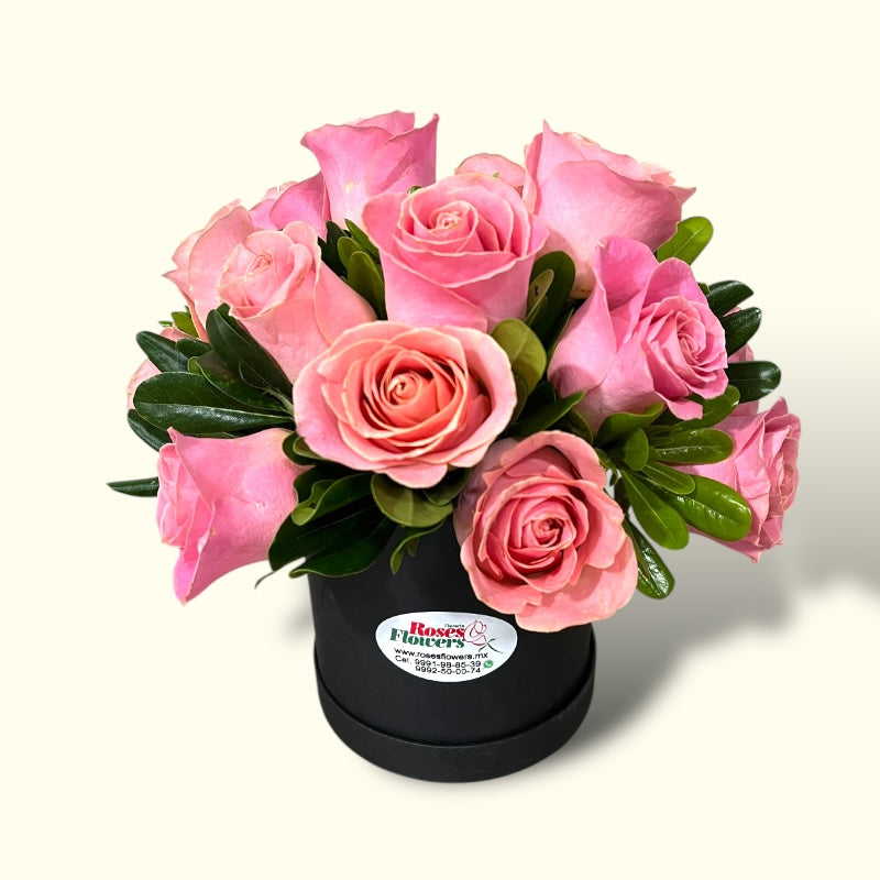 Roseta