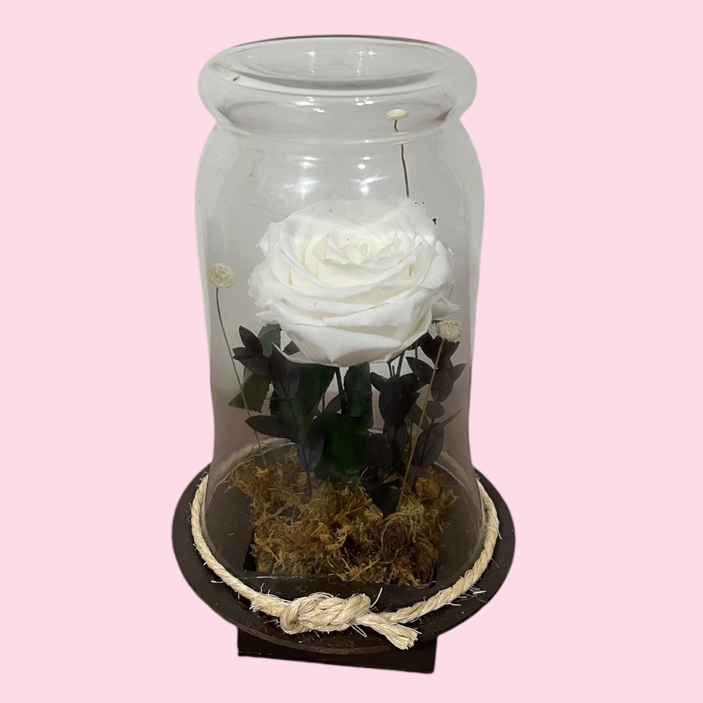 Rosa eterna blanca