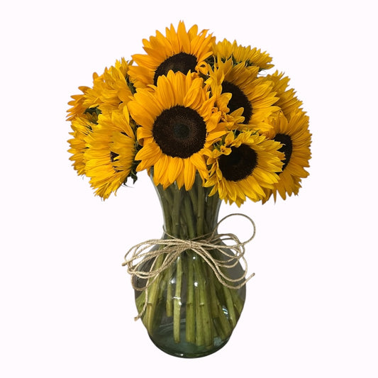 25 Girasoles