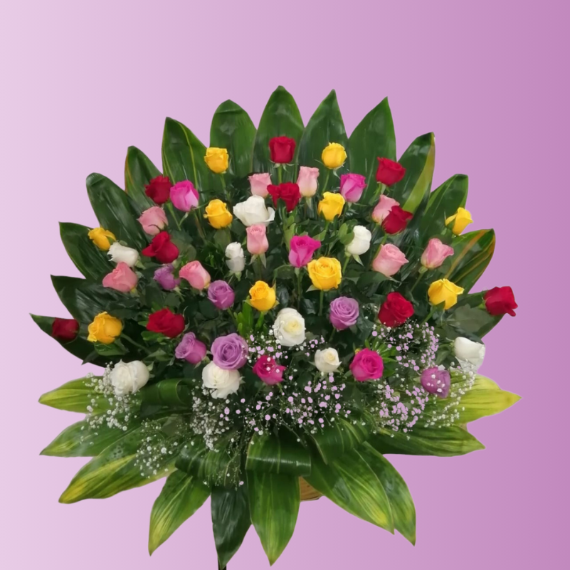 Arcoíris floral