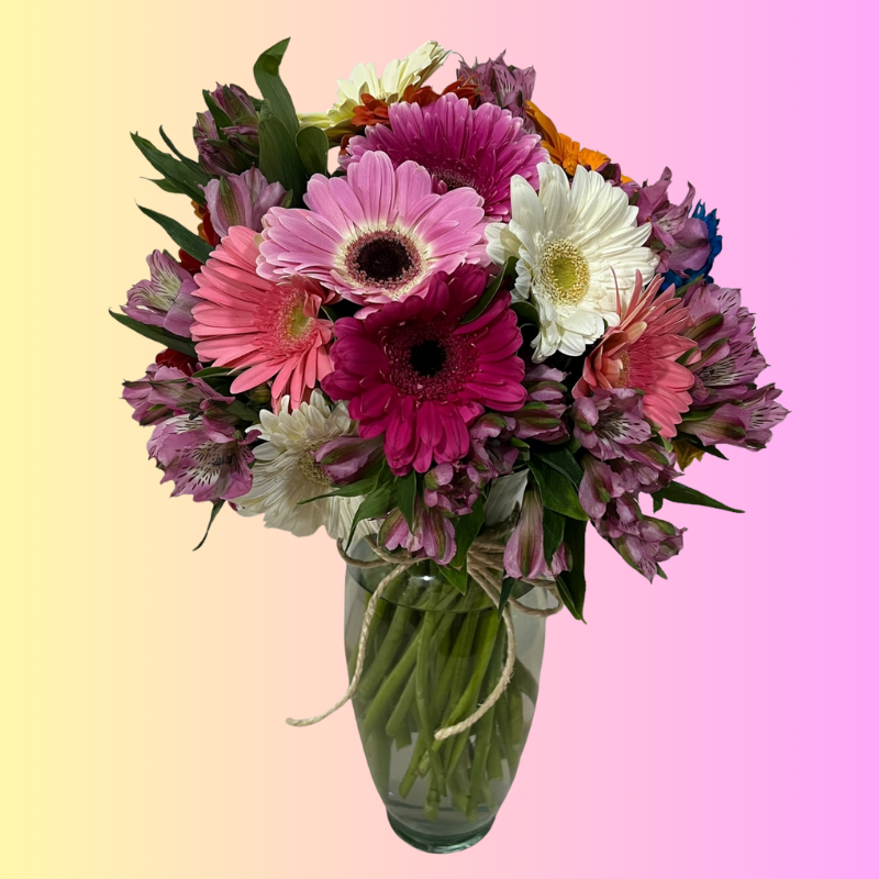 Gerberas con color