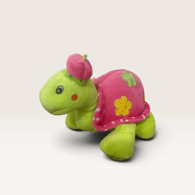 Tortuga