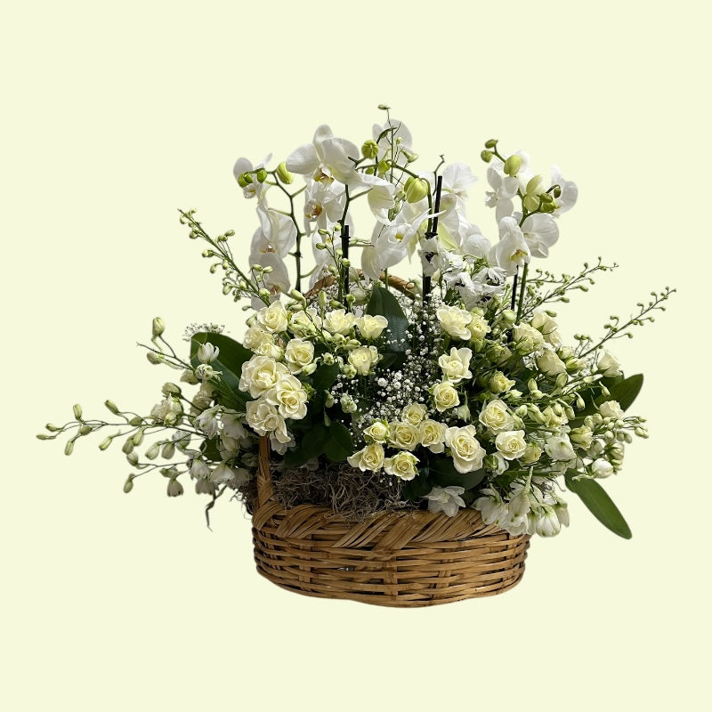 Orquídeas para el Alma